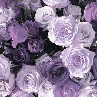 マツエク・マツパ Bianca川越西口 🦄TOHO💜のマツエク・マツパデザイン