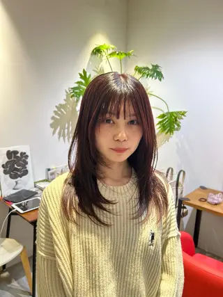 セミロング Journey所属・政木 きららのヘアスタイル