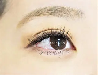 マツエク・マツパ ELEGAR 武蔵小杉のマツエク・マツパデザイン