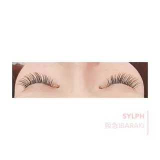 マツエク・マツパ シールエクステ/ ハイトーンカラーのヘアスタイル