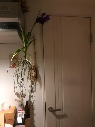 basico  のエステ・リラクイメージ