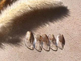 ネイル salon miii Kanekoのネイルデザイン