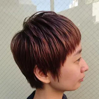ショート 社内カット講師・店長 菅原賢一のヘアスタイル