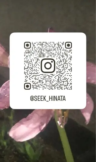 hinata･:* /seek nextのヘアスタイル