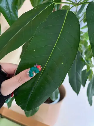 ネイル coco nailのネイルデザイン