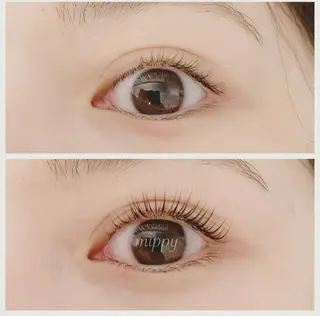 マツエク・マツパ ｍｉｐｐｙ 🪽のマツエク・マツパデザイン