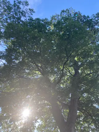 フェイシャルサロン ビアンカガーデンのエステ・リラクイメージ