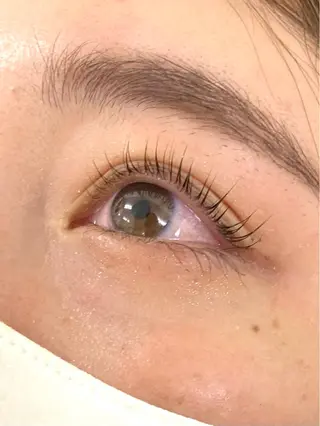 マツエク・マツパ SUGAR LASHのマツエク・マツパデザイン