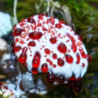 ネイル .꒰ঌtenten ໒꒱·̩͙．のネイルデザイン