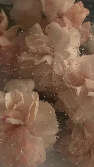 Iwasaki Nene☾店長のマツエク・マツパデザイン