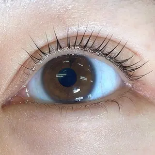 マツエク・マツパ neroli❁ satoのマツエク・マツパデザイン