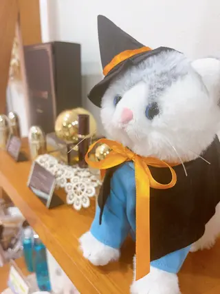 メナードフェイシャルサロン 塚口北所属・メナード塚口北 清水理恵子のエステ・リラクイメージ