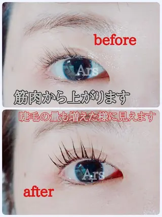 マツエク・マツパ Ars  (ｱﾙｽ)所属・Ars      (ｱﾙｽ)のマツエク・マツパデザイン