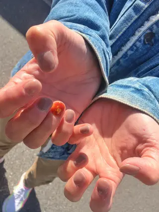 ネイル C'mere nailsのネイルデザイン