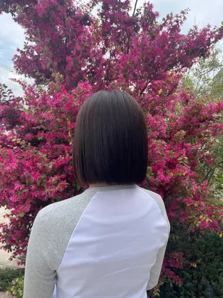 カラー 山本 穂乃花のヘアスタイル