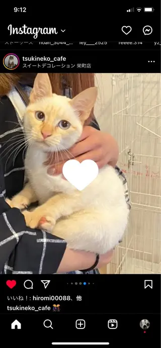 salon Chouchouのネイルデザイン