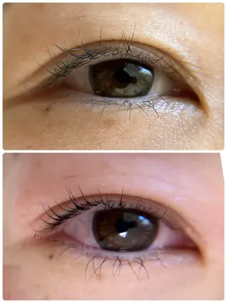 マツエク・マツパ Plume micoのマツエク・マツパデザイン