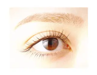 マツエク・マツパ progress つくばのマツエク・マツパデザイン