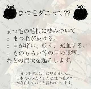 マツエク・マツパ frill eye beauty by ELLE所属・ふわ眉✴︎うぶ眉 🌸maiの眉毛・アイブロウイメージ