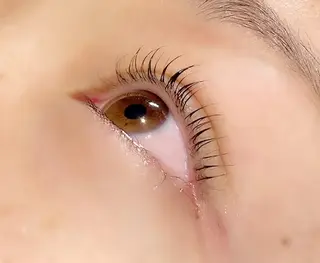 マツエク・マツパ 齋藤 春菜のマツエク・マツパデザイン