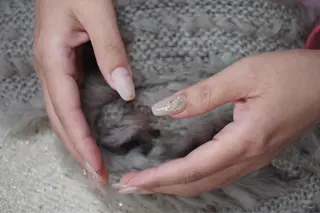 ネイル プライベートサロン jewel nailのネイルデザイン