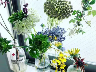 basico  のエステ・リラクイメージ