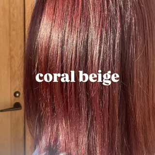 ミディアム カラー ちほ /ボブスタイルのヘアスタイル