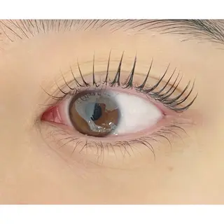 マツエク・マツパ Bianca金町🤍 HASHIMOTOのマツエク・マツパデザイン