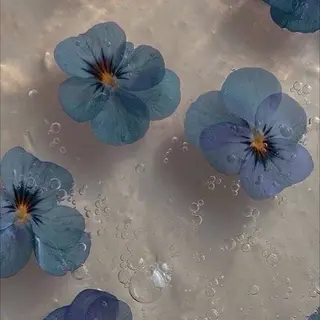 丸山 知夏のその他イメージ