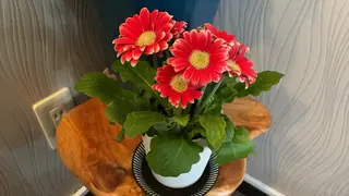 田川 美熙のエステ・リラクイメージ