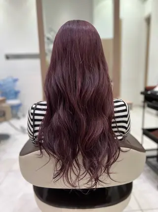 ロング ヘアアレンジ 指原 仁のヘアスタイル