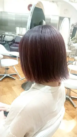 ショート 坪井 佑美のヘアスタイル