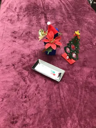 まごころ鍼灸整骨院所属・まごころ鍼灸整骨院 京王堀之内院のエステ・リラクイメージ