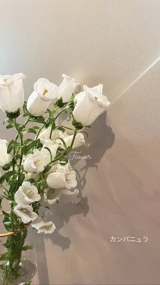 🌻花屋併設🌻濱 幸帆のヘアスタイル