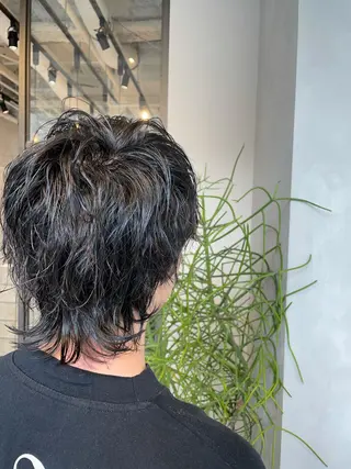 ショート パーマ メンズ 渋谷レイヤーカット/ 暖色艶カラー🩵高橋のヘアスタイル