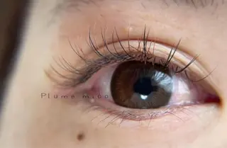 マツエク・マツパ Plume micoのマツエク・マツパデザイン