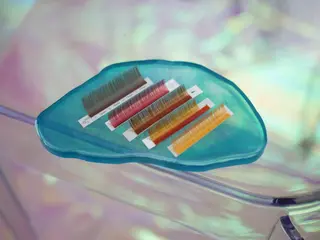 マツエク・マツパ \  r eyelash  /のマツエク・マツパデザイン