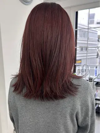 セミロング カラー レイヤーボブ/ 艶カラー/サナ🌼のヘアスタイル