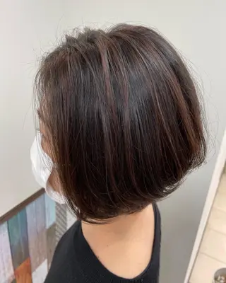 ショート カラー ヘアアレンジ 白髪ぼかし脱白髪染め 大塚綾のヘアスタイル