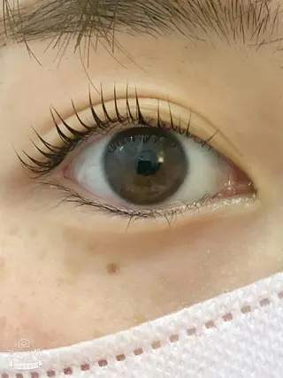 マツエク・マツパ BEL EYE BEAUTYアイのマツエク・マツパデザイン