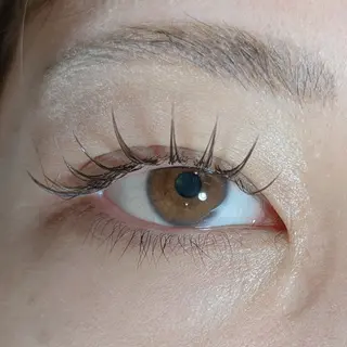 マツエク・マツパ LaMa. Yの眉毛・アイブロウイメージ