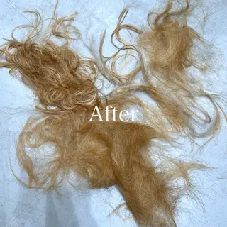 ショート レディースヘア💫 加藤たいが🐯のヘアスタイル