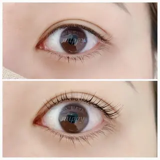 マツエク・マツパ ｍｉｐｐｙ 🪽のマツエク・マツパデザイン