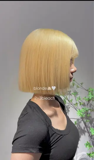 ショート カラー ブリーチ🩶韓国ヘア 🩶ワカナのヘアスタイル