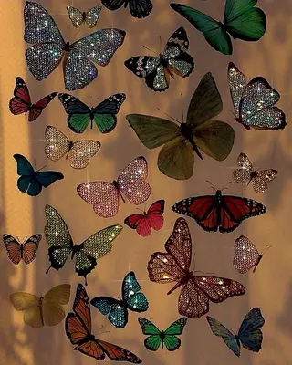 alice tokyo 青栁★のマツエク・マツパデザイン