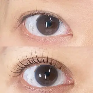 マツエク・マツパ まつげと眉毛のお店Sakura Lash【サクララッシュ】所属・【ダメージケア特化】 🌸 サクララッシュの眉毛・アイブロウイメージ