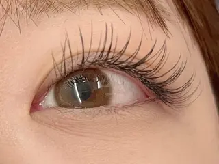 Fave【フェイブ】 まつパ/眉毛/メンズのマツエク・マツパデザイン