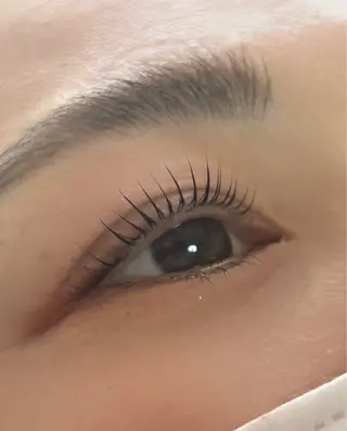 マツエク・マツパ Lily Roseスタッフ一同のマツエク・マツパデザイン