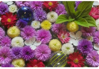 アイブロウ アイブロウA LEAF三原の眉毛・アイブロウイメージ