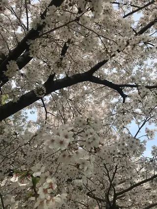 ミディアム カラー パーマ ヘアアレンジ メンズ キッズ ネイル マツエク・マツパ アニメ,Vオタク× 即効痩せエステサロンのエステ・リラクイメージ